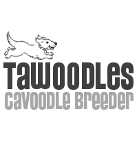 tawoodles